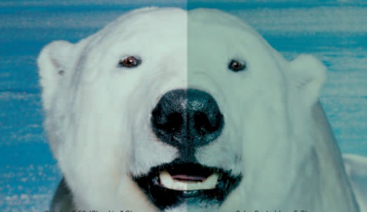 多彩同盟(中国游)官方网站