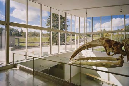 多彩同盟(中国游)官方网站